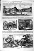 Original Old Antique Print 1856 Sierra Leone Waterloo Market Sherbro Village