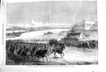 Old Antique Print 1868 Review Egyptian Troops Viceroy Lord Napier Magdala 19th