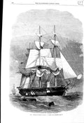 Original Old Antique Print 1863 War Ship H.M Steam Corvette Racoon 22 Guns 19th