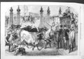 Original Old Antique Print 1865 Inspection Foreign Cattle Metropolitan Market