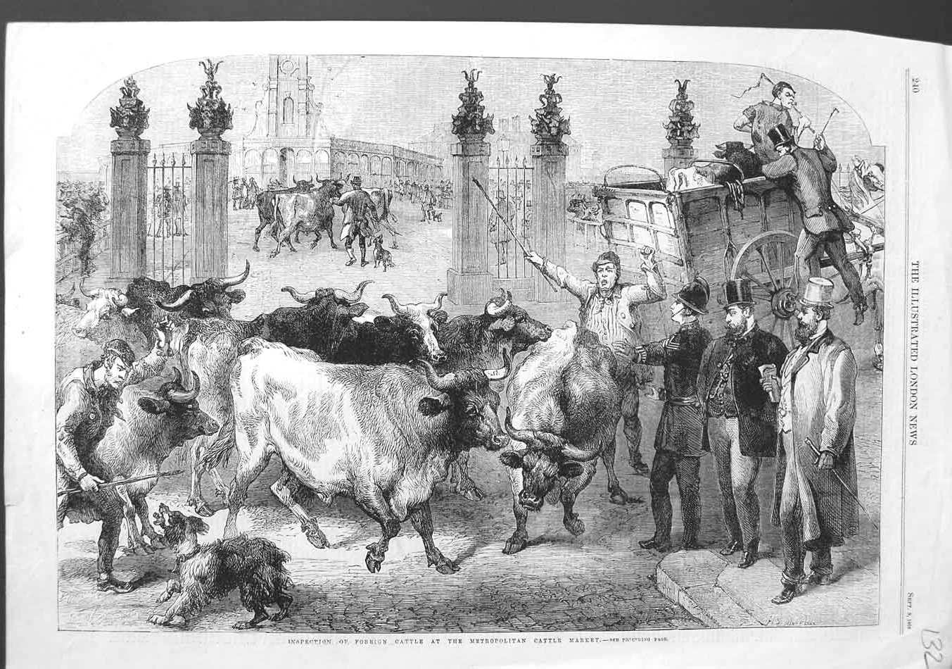 Original Old Antique Print 1865 Inspection Foreign Cattle Metropolitan Market