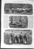 Original Old Antique Print 1864 Capturing Wild Elephants Ceylon 19th