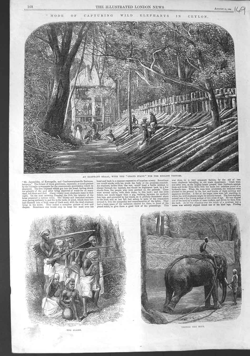 Original Old Antique Print 1864 Capturing Wild Elephants Ceylon Kraal Victorian