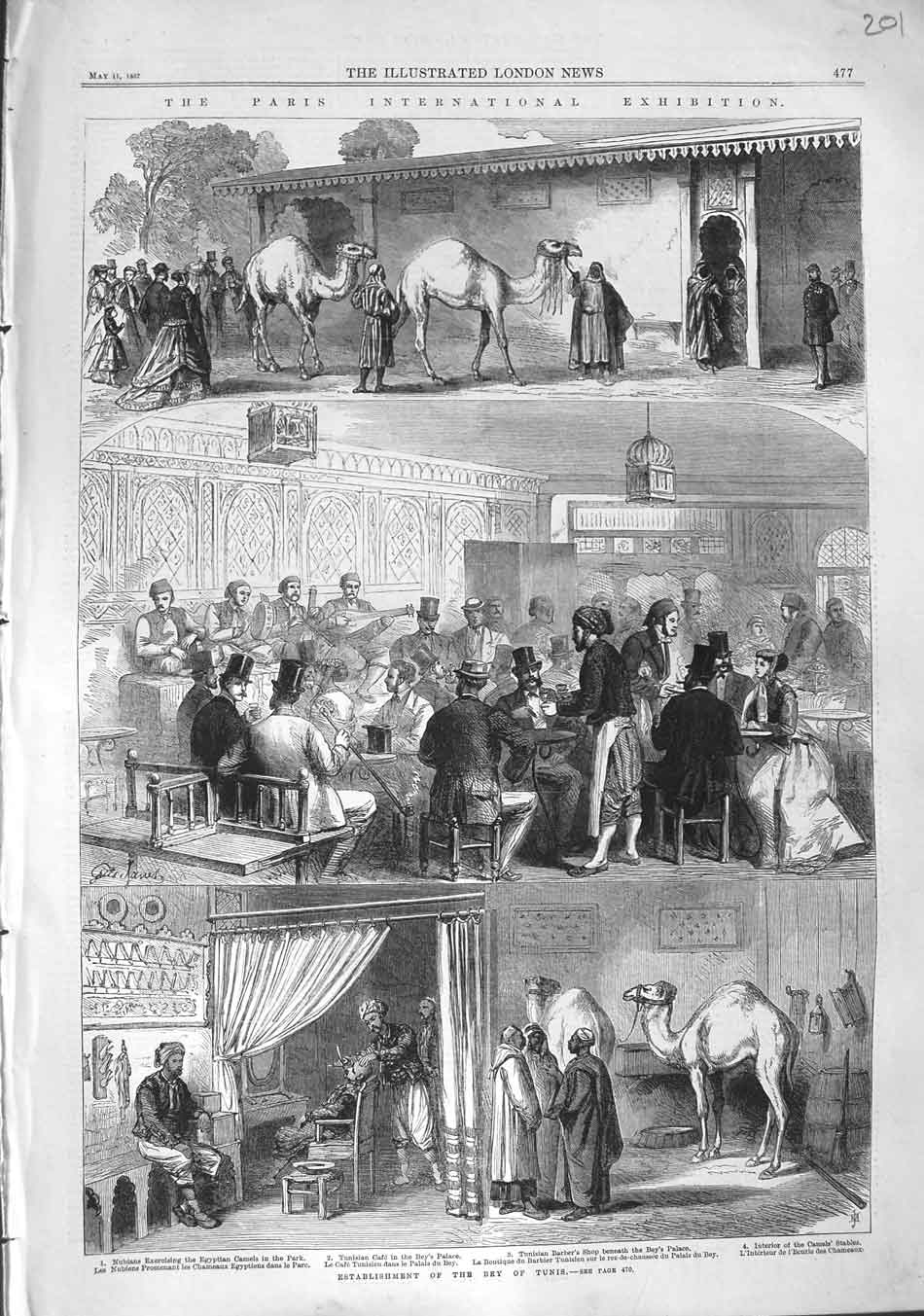 Original Old Antique Print 1867 Paris International Exhibition Bey Tunis Camels