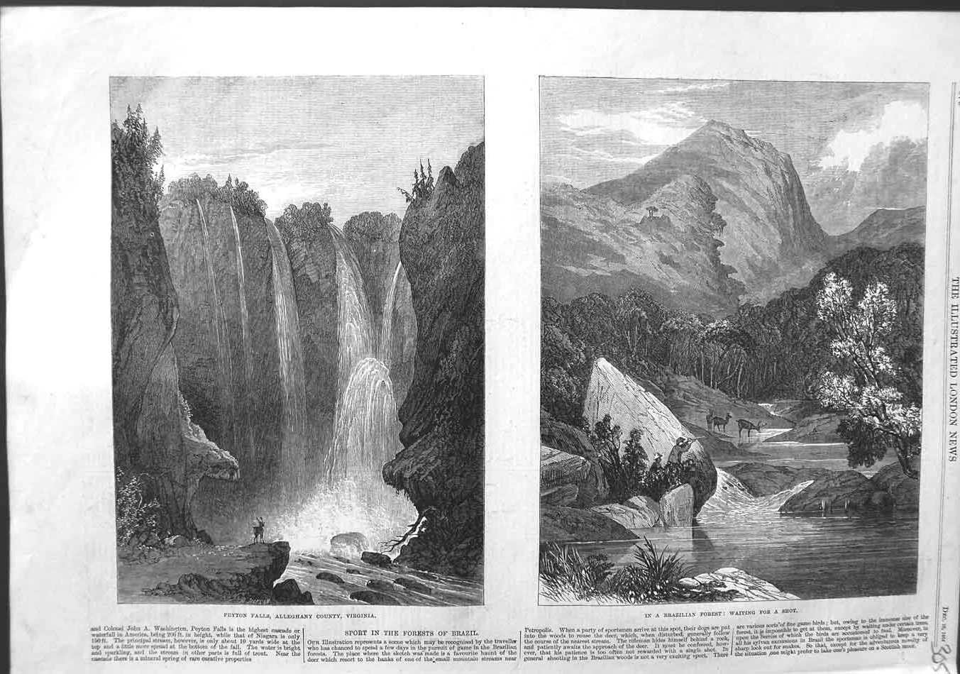 Original Old Antique Print 1864 Peyton Falls Alleghany Virginia Brazil Forest
