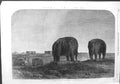 Original Old Antique Print 1864 Tombs Emperors Ming Dynasty Nankin Elephants