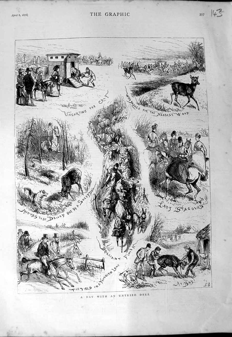 Original Old Antique Print 1876 Deer Hunting Sheepdog Huntswomen 19th