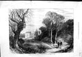 Original Old Antique Print 1871 Claremont Surrey Princess Louise Marquis Lorne