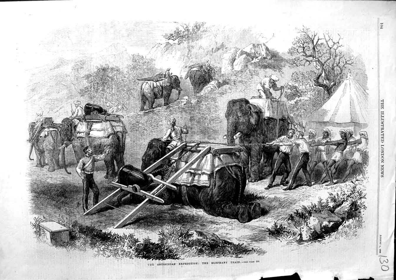 Original Old Antique Print 1868 Abyssinian Expedition Elephant Train Victorian