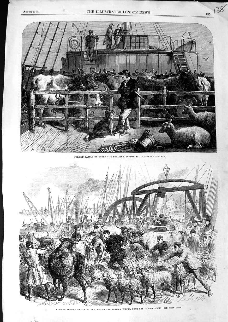 Old Antique Print 1865 Foreign Cattle Batavier Ship Rotterdam London Dock 19th