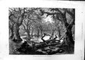 Antique Old Print Ref.497 1879 River Thames Floods Home Park Windsor Castle