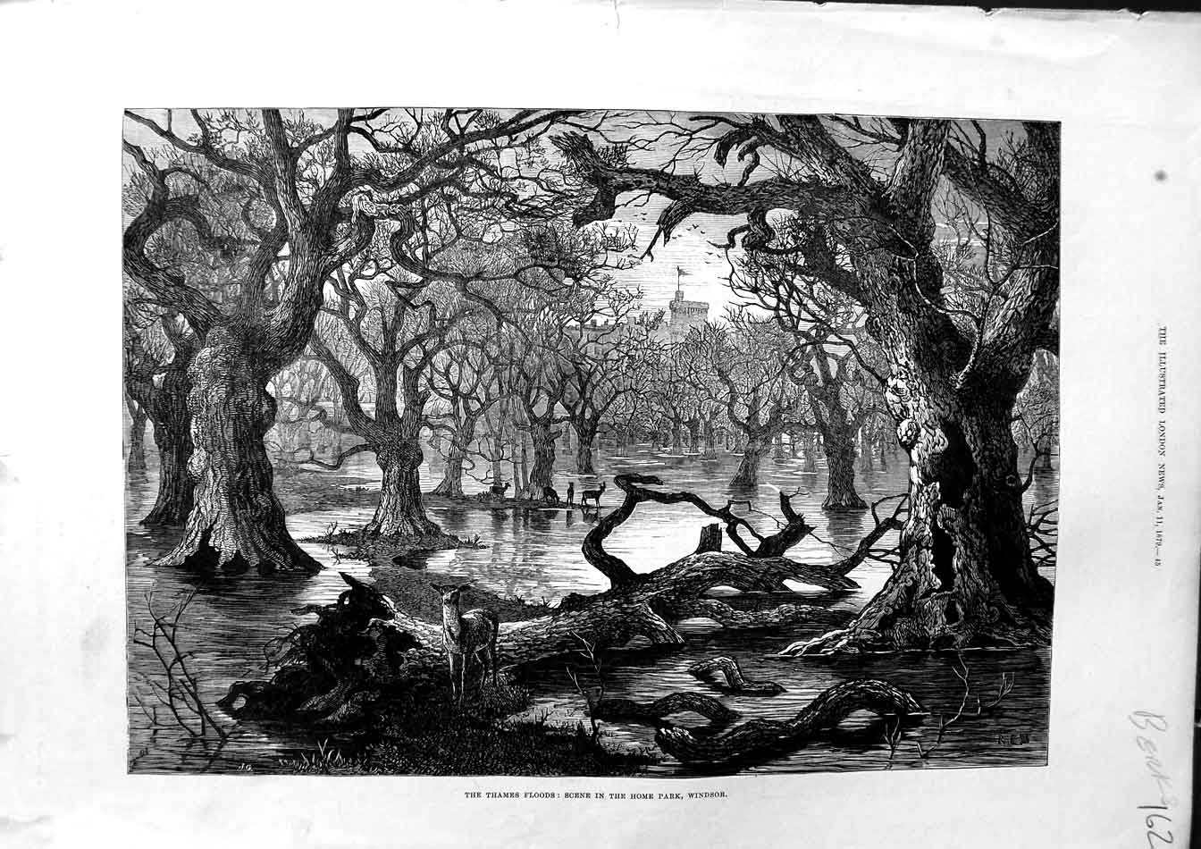 Antique Old Print Ref.497 1879 River Thames Floods Home Park Windsor Castle