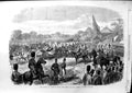 Old Antique Print Ref.495 1869 Queen Viceroy Egypt Review Siers Windsor