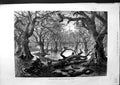 Old Antique Print 1879 River Thames Floods Scene Home Park Windsor Castle 19th