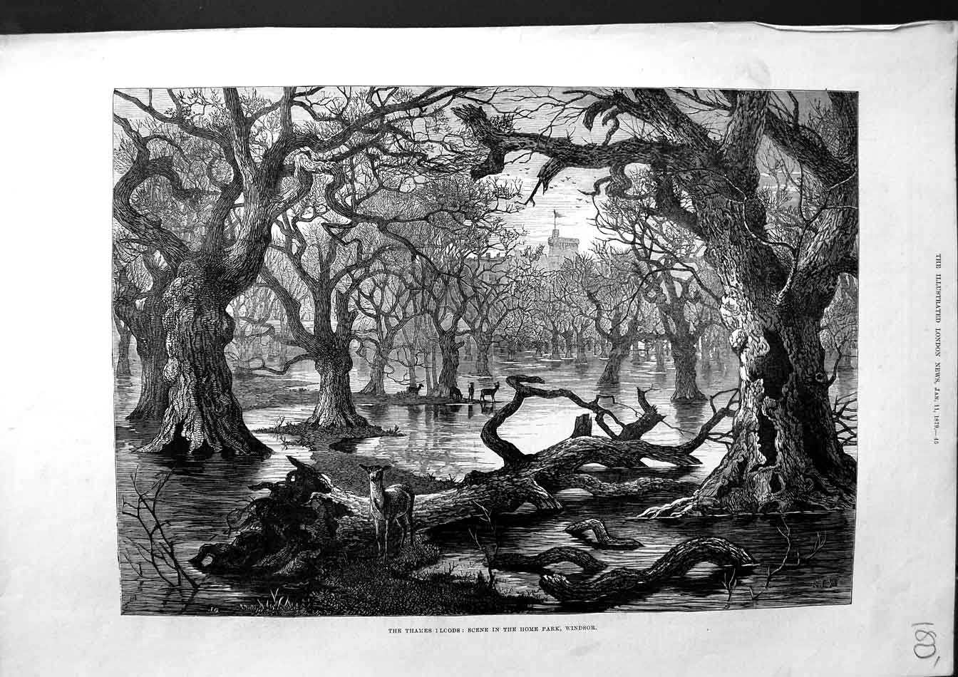 Old Antique Print 1879 River Thames Floods Scene Home Park Windsor Castle 19th