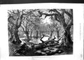 Original Old Antique Print 1879 River Thames Floods Home Park Windsor Castle