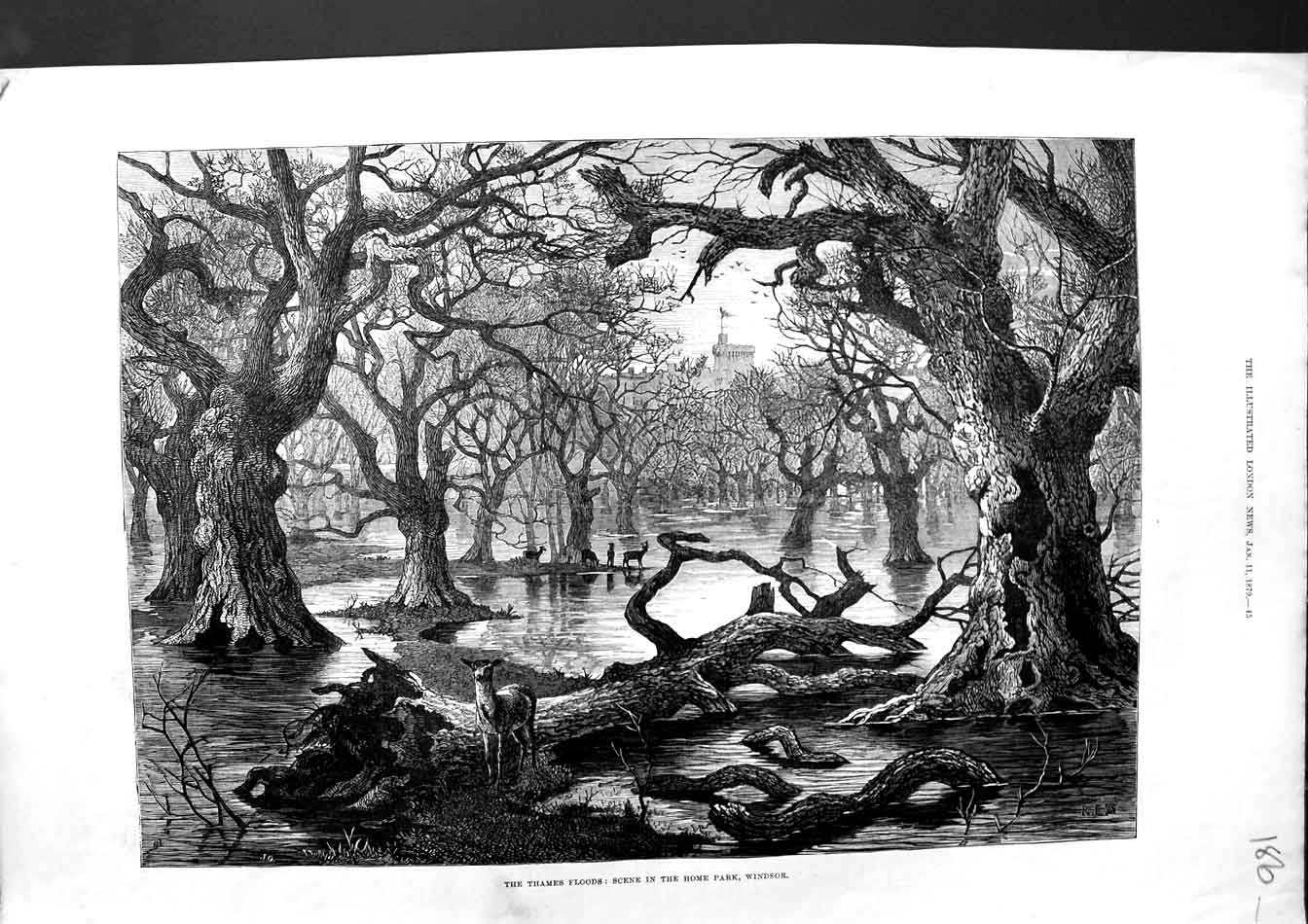 Original Old Antique Print 1879 River Thames Floods Home Park Windsor Castle
