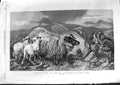 Old Antique Print 1869 Ansdell Fine Art Mountains Sheep Lambs Fox Animals 19th