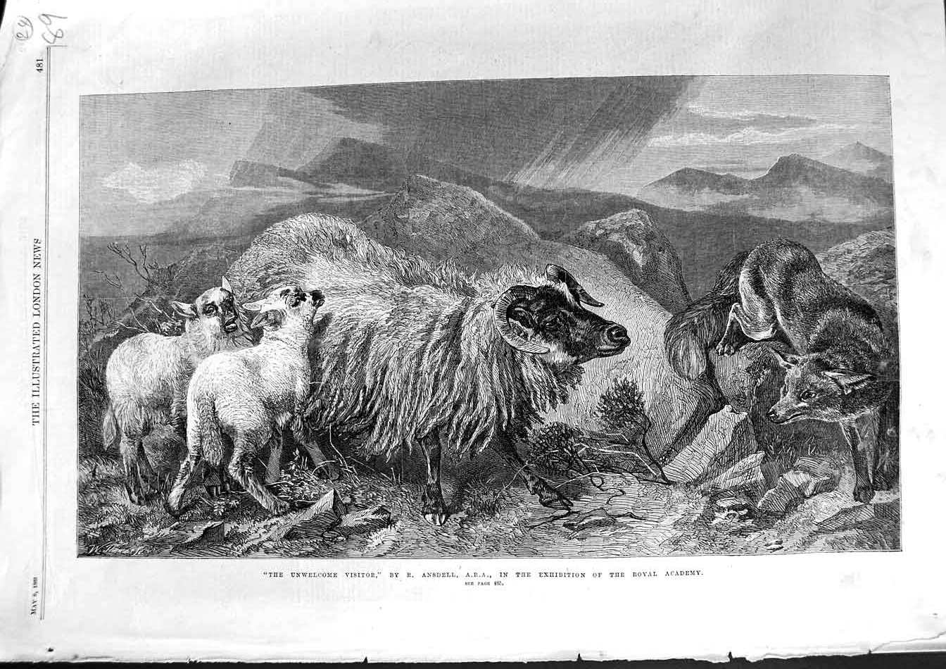 Old Antique Print 1869 Ansdell Fine Art Mountains Sheep Lambs Fox Animals 19th