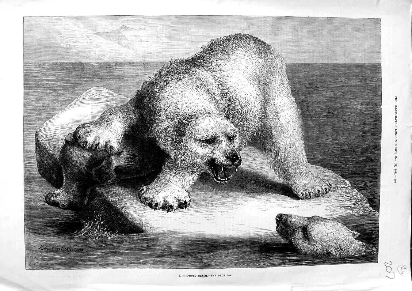 Original Old Antique Print 1881 Beckmann Fine Art Polar Bear Sea-Lion Fight