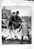 Original Old Antique Print 1881 Goose Club Committee Men Birds Fine Art Emslie