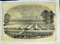 Original Old Antique Print 1851 Royal Society Agricultural Show Windsor Castle