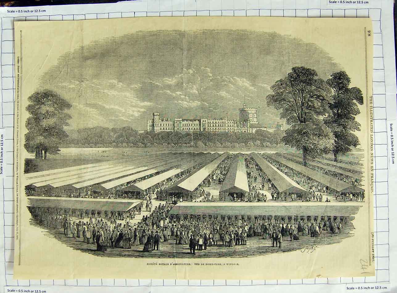 Original Old Antique Print 1851 Royal Society Agricultural Show Windsor Castle