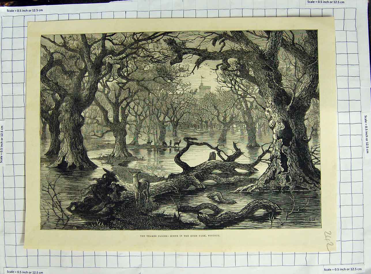 Original Old Antique Print River Thames London Floods Home Park Windsor Castle