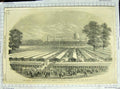 Original Old Antique Print 1851 Royal Agricultural Society Show Windsor Park
