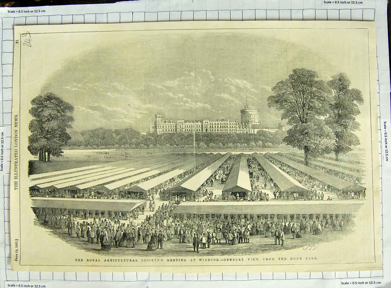 Original Old Antique Print 1851 Royal Agricultural Society Show Windsor Park