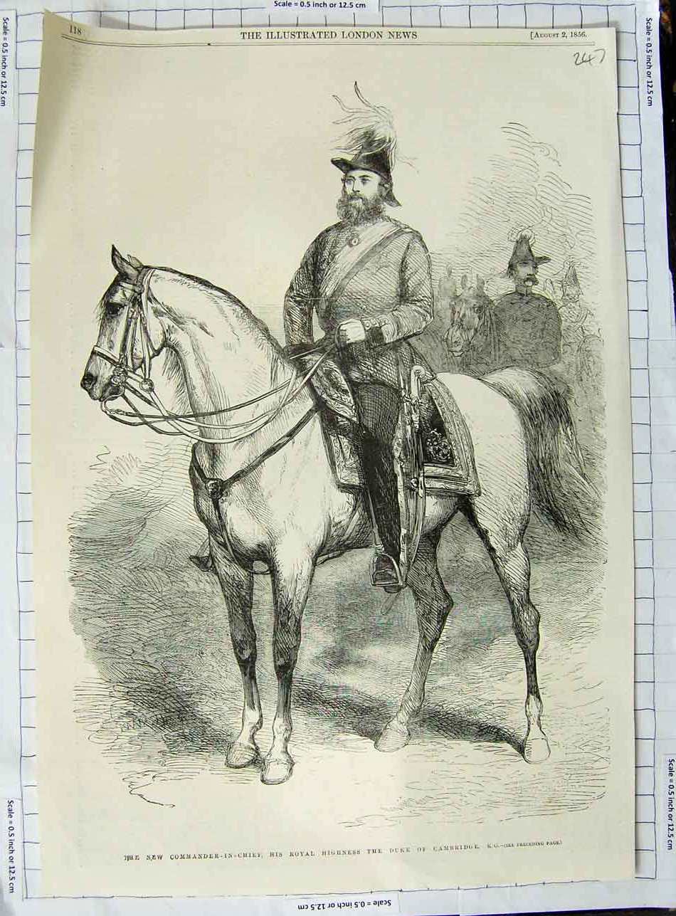 Antique Old Print *3140 1856 Commander-In-Chief Royal Highness Duke Cambridge
