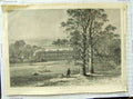 Original Old Antique Print 1869 Exterior Garden Knowsley House Sheep Trees 19th