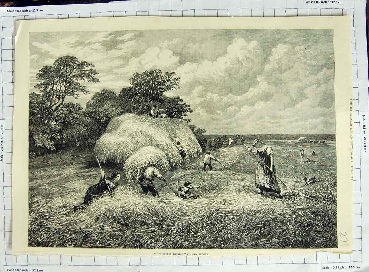 Original Old Antique Print 1875 Barley Harvest Farming Haymakers Dogs Horses