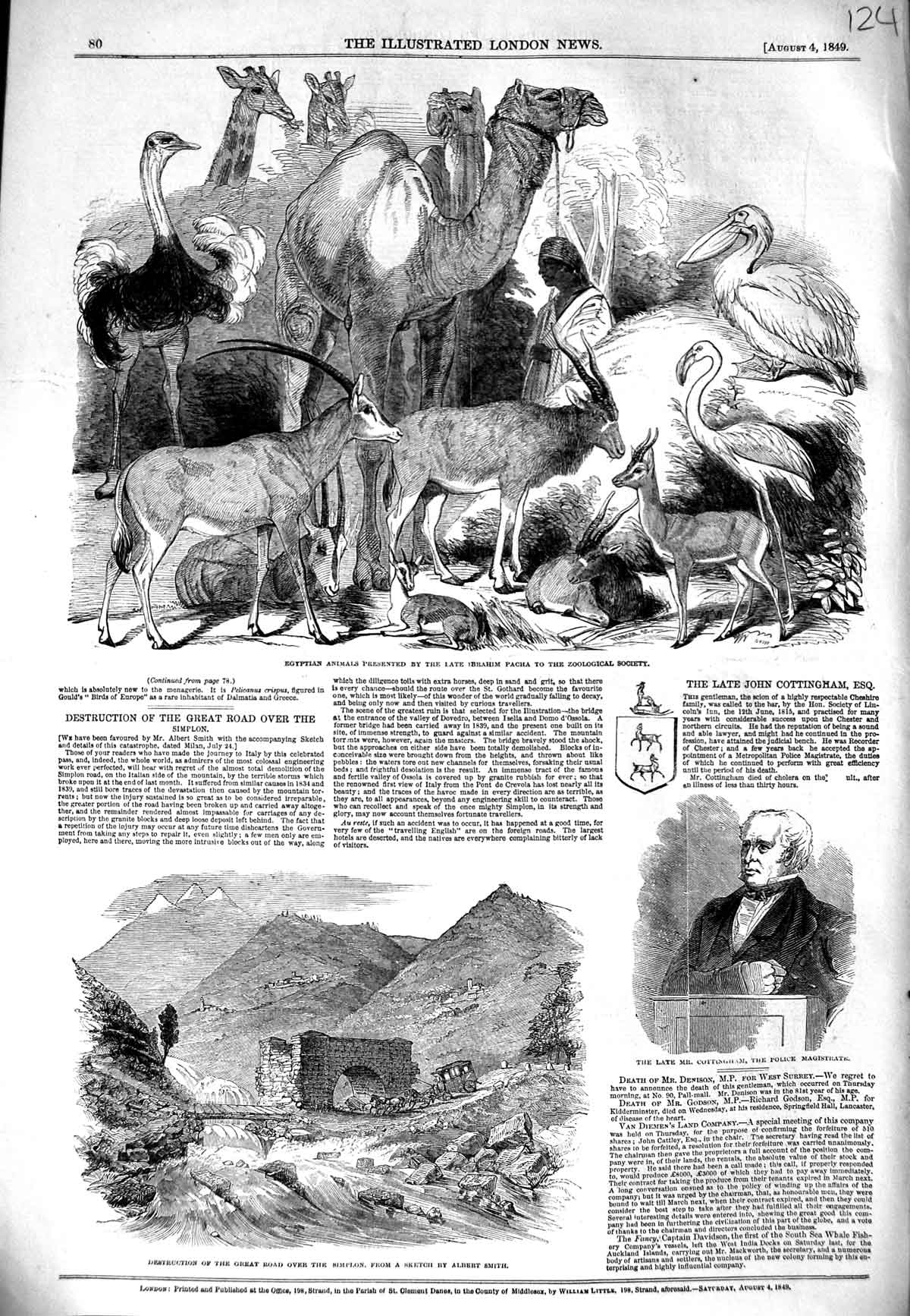 Old Antique Print 1849 Egyptian Animals Ibrahim Pacha Cottingham Simplon 19th