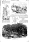 Old Antique Print 1849 Illuminations Cove Queenstown Statue Victoria Ship 19th