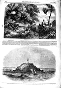 Original Old Antique Print 1849 Pheasant Shooting Lighthouse Rallycotton Island