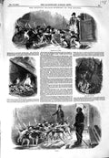 Original Old Antique Print 1849 Hunting Season Kennel Dogs Hounds Pups Sport