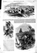 Old Antique Print 1849 Village Morven Scalp Brian Connor Kilrush Potatoes 19th