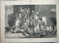 Original Old Antique Print 1881 Fine Art Carter Lioness Cubs Wild Lions 19th