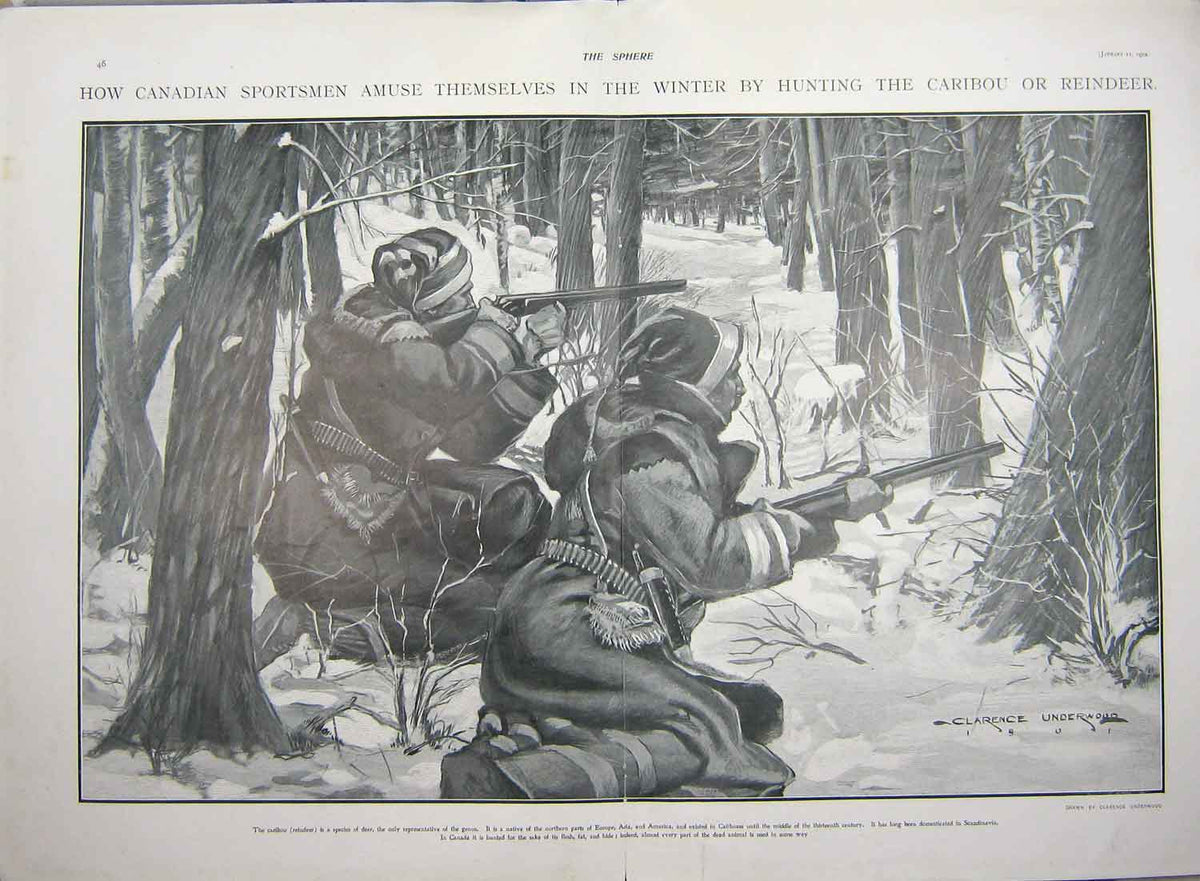 Original Old Antique Print 1902 Canada Sport Hunting Caribou Reindeer Fine Art