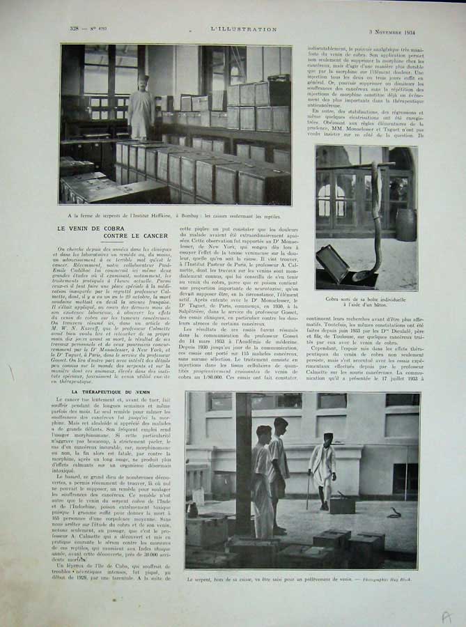 Old Vintage Print 1934 Snake Charmer Cobra French Newspaper Serie Verres 20th