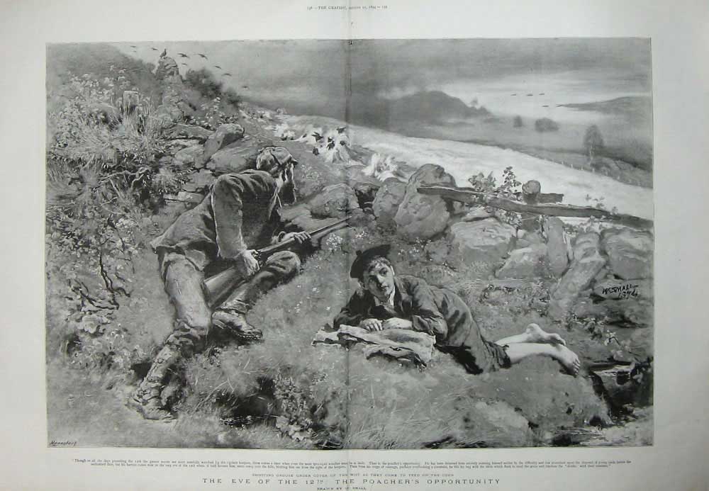 Old Antique Print 1894 Grouse Shooting Scotland Poachers Corn Birds Art 19th