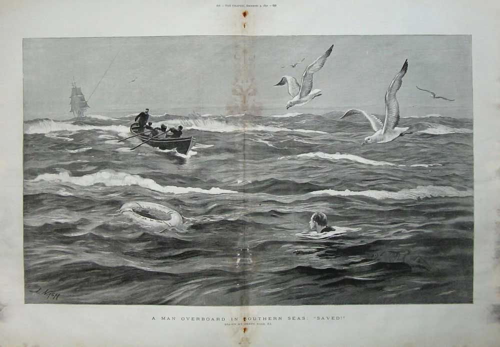 Original Old Antique Print Man Overboard Southern Seas 1892 Seagull Birds Boat