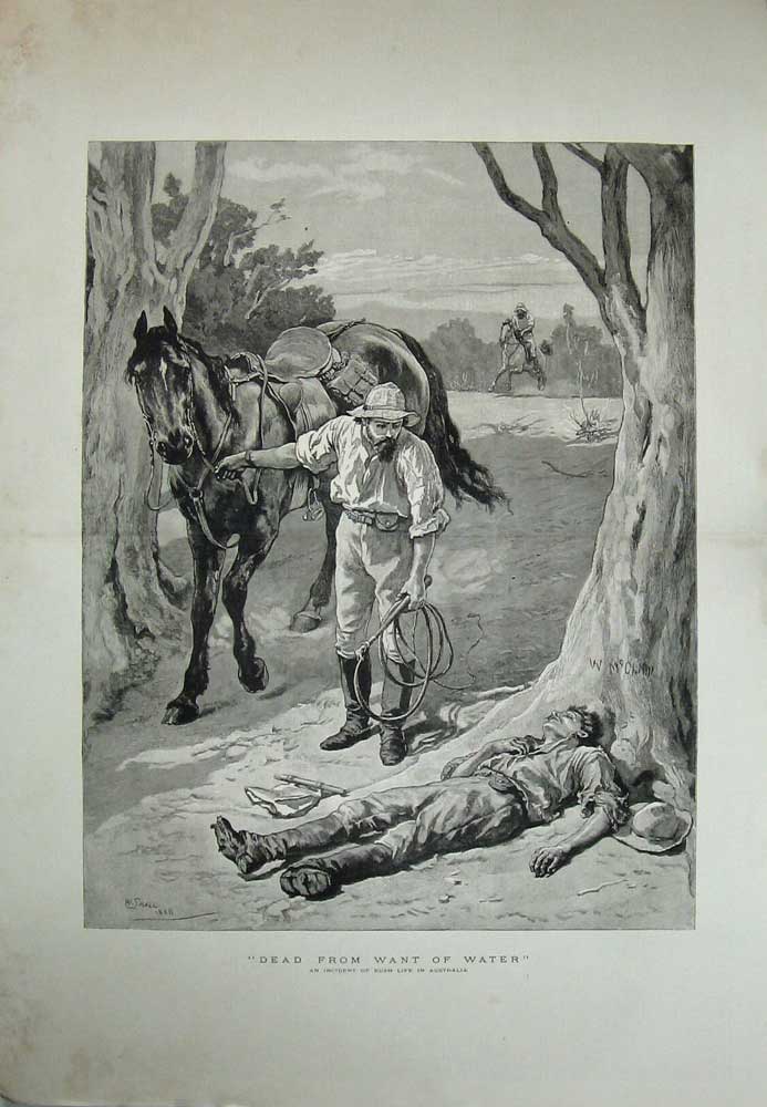 Old Antique Print 1889 Bush Life Australia Dead Man Horse Small Fine Art 19th