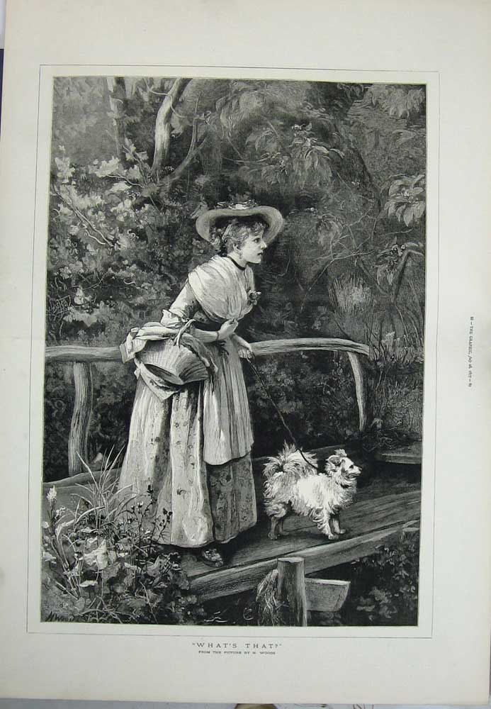 Original Old Antique Print 1877 Woods Fine Art Women Dog Bridge Country Trees