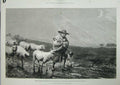 Old Antique Print 1873 Bottomley Royal Academy Sheep Lambs Shepherd Dog 19th