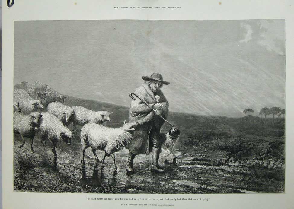 Old Antique Print 1873 Bottomley Royal Academy Sheep Lambs Shepherd Dog 19th