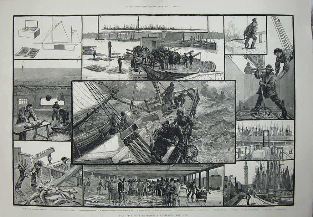 Original Old Antique Print 1883 Fishing Cod Fish Boats Grimbsy Dock Market Art