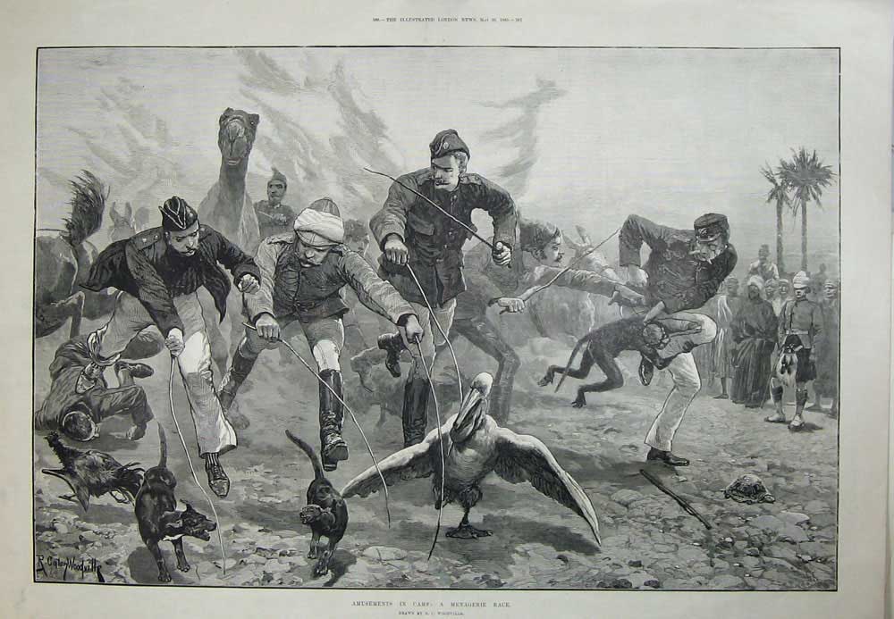 Original Old Antique Print Amusements Camp Menagerie Race 1885 Siers Sport Art