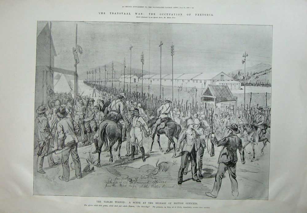 Original Old Antique Print Transvaal War Pretoria 1900 British Officers Siers
